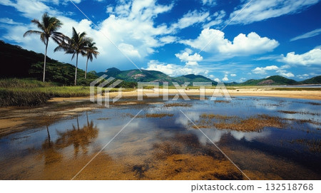 Serene tropical beach with palm trees and calm water. 132518768