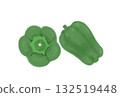 Simple green bell pepper illustration, white background 132519448