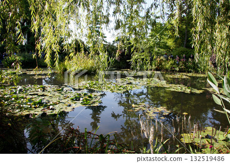莫內池塘,莫內花園,莫內故居,法國,巴黎郊區,吉維尼,吉維尼 莫內池塘,莫內花園,莫內故居,法國,巴黎郊區,吉維尼,吉維尼 132519486