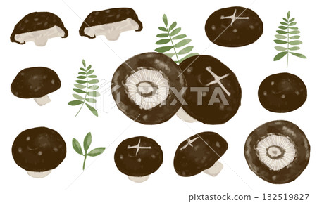Shiitake mushroom (watercolor touch) material set 132519827
