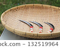 Rice harvesting sickles arranged on a bamboo basket 132519964
