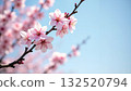 盛開的櫻花和藍天，前往日本，觀光相，方形布，廣泛的海上報道，材料背景板 132520794