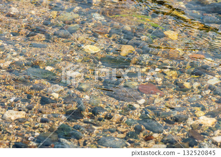 Early summer waterside: The river surface shining in the morning sun 01 132520845