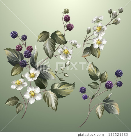 Abstract beautiful watercolor floral vintage illustration Abstract beautiful watercolor floral vintage illustration 132521383