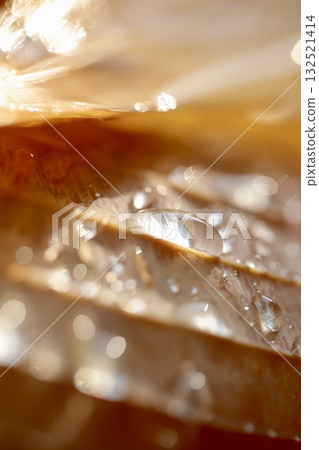 Sparkling raindrops on yellow hosta leaves 132521414