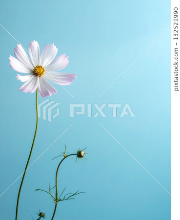 Copy space, simple flower in a vase placed in the corner of the screen 132521990