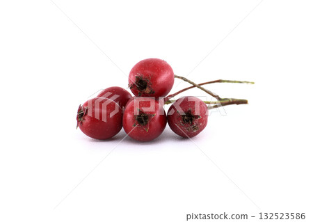 Hawthorn berries isolated on a white background Hawthorn berries isolated on a white background 132523586