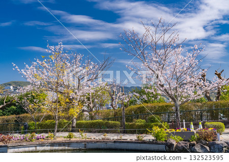 長崎縣格洛弗花園的春天 132523595