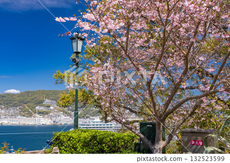 長崎縣格洛弗花園的春天 132523599