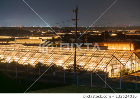 Aichi Prefecture: Illuminated chrysanthemums and a glowing greenhouse at night 132524016