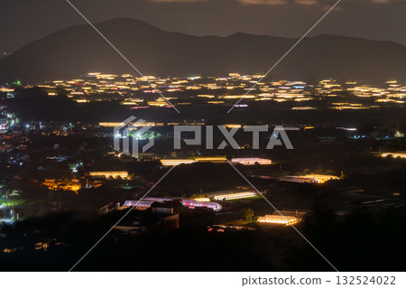 愛知縣:夜晚燈光照耀下的菊花和閃閃發光的溫室 愛知縣:夜晚燈光照耀下的菊花和閃閃發光的溫室 132524022