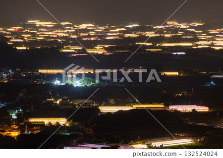 Aichi Prefecture: Illuminated chrysanthemums and a glowing greenhouse at night Aichi Prefecture: Illuminated chrysanthemums and a glowing greenhouse at night 132524024