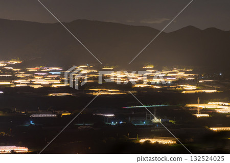 Aichi Prefecture: Illuminated chrysanthemums and a glowing greenhouse at night Aichi Prefecture: Illuminated chrysanthemums and a glowing greenhouse at night 132524025