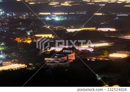 Aichi Prefecture: Illuminated chrysanthemums and a glowing greenhouse at night 132524026