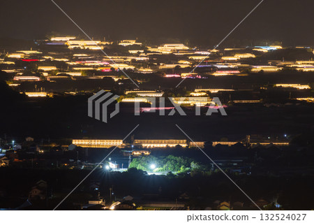 Aichi Prefecture: Illuminated chrysanthemums and a glowing greenhouse at night 132524027