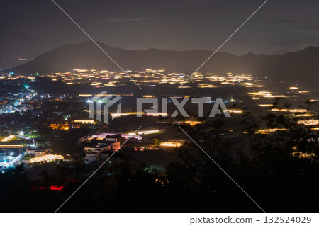 愛知縣：夜晚燈光照耀下的菊花和閃閃發光的溫室 132524029