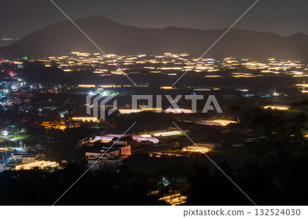 愛知縣:夜晚燈光照耀下的菊花和閃閃發光的溫室 愛知縣:夜晚燈光照耀下的菊花和閃閃發光的溫室 132524030