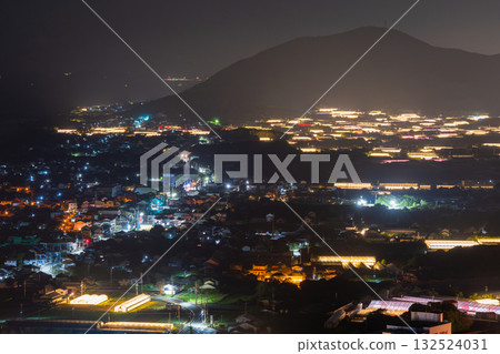 Aichi Prefecture: Illuminated chrysanthemums and a glowing greenhouse at night Aichi Prefecture: Illuminated chrysanthemums and a glowing greenhouse at night 132524031