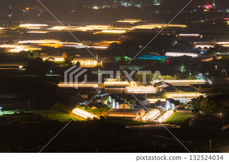 愛知縣：夜晚燈光照耀下的菊花和閃閃發光的溫室 132524034