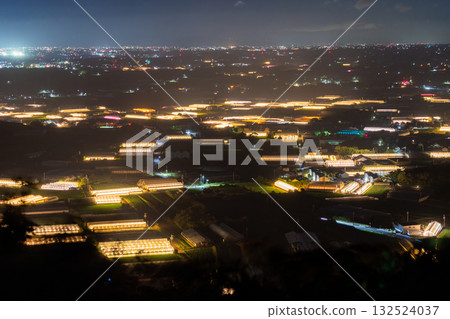 愛知縣:夜晚燈光照耀下的菊花和閃閃發光的溫室 愛知縣:夜晚燈光照耀下的菊花和閃閃發光的溫室 132524037