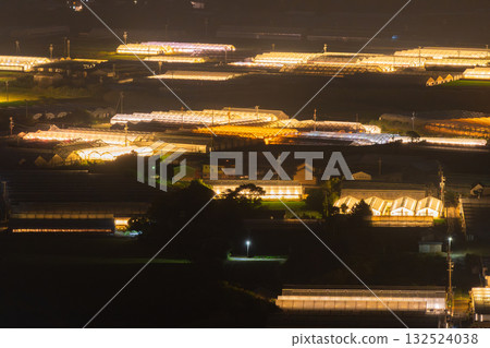愛知縣:夜晚燈光照耀下的菊花和閃閃發光的溫室 愛知縣:夜晚燈光照耀下的菊花和閃閃發光的溫室 132524038