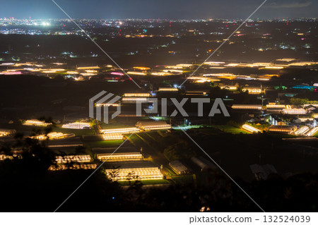愛知縣:夜晚燈光照耀下的菊花和閃閃發光的溫室 愛知縣:夜晚燈光照耀下的菊花和閃閃發光的溫室 132524039