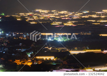 Aichi Prefecture: Illuminated chrysanthemums and a glowing greenhouse at night 132524042