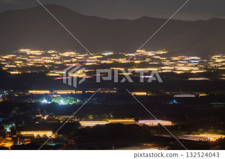 愛知縣:夜晚燈光照耀下的菊花和閃閃發光的溫室 愛知縣:夜晚燈光照耀下的菊花和閃閃發光的溫室 132524043