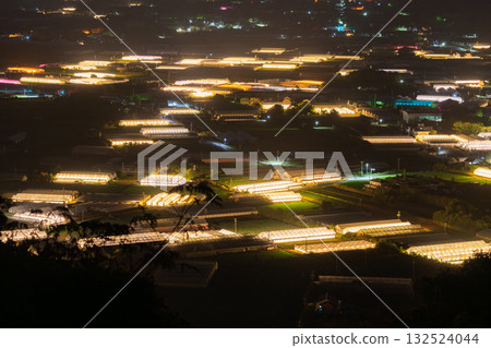 愛知縣:夜晚燈光照耀下的菊花和閃閃發光的溫室 愛知縣:夜晚燈光照耀下的菊花和閃閃發光的溫室 132524044