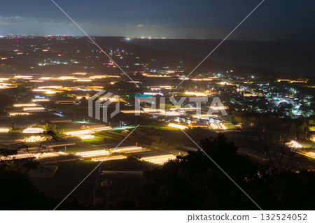 Aichi Prefecture: Illuminated chrysanthemums and a glowing greenhouse at night Aichi Prefecture: Illuminated chrysanthemums and a glowing greenhouse at night 132524052