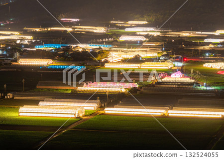 Aichi Prefecture: Illuminated chrysanthemums and a glowing greenhouse at night Aichi Prefecture: Illuminated chrysanthemums and a glowing greenhouse at night 132524055