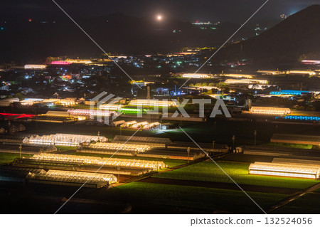 Aichi Prefecture: Illuminated chrysanthemums and a glowing greenhouse at night Aichi Prefecture: Illuminated chrysanthemums and a glowing greenhouse at night 132524056
