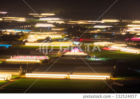 愛知縣：夜晚燈光照耀下的菊花和閃閃發光的溫室 132524057