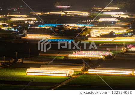 Aichi Prefecture: Illuminated chrysanthemums and a glowing greenhouse at night 132524058