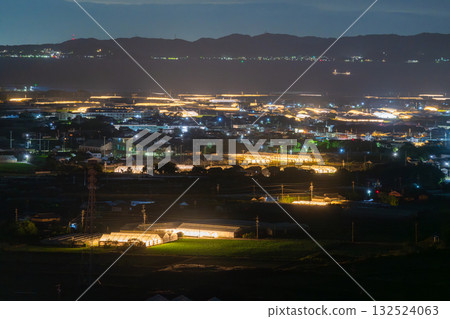 愛知縣：夜晚燈光照耀下的菊花和閃閃發光的溫室 132524063