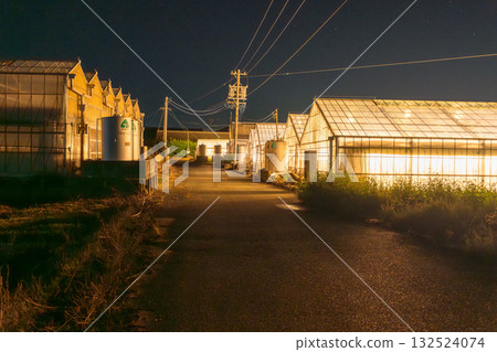 愛知縣:夜晚燈光照耀下的菊花和閃閃發光的溫室 愛知縣:夜晚燈光照耀下的菊花和閃閃發光的溫室 132524074