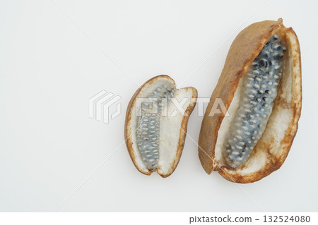 Akebi fruit Akebi fruit 132524080