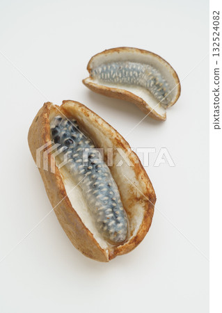 Akebi fruit 132524082