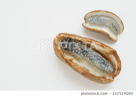 Akebi fruit Akebi fruit 132524084