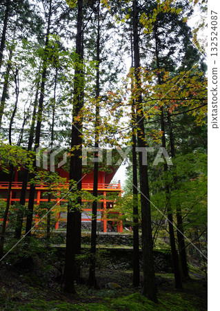 The vermilion-lacquered buildings and trees of Enryaku-ji Temple The vermilion-lacquered buildings and trees of Enryaku-ji Temple 132524087