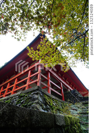 The vermilion-lacquered buildings and trees of Enryaku-ji Temple The vermilion-lacquered buildings and trees of Enryaku-ji Temple 132524089