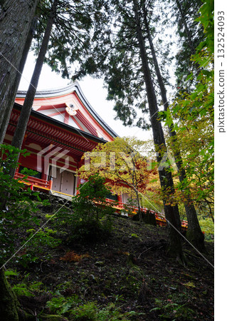 延歷寺朱漆建築與樹木 延歷寺朱漆建築與樹木 132524093