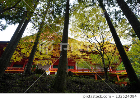 The vermilion-lacquered buildings and trees of Enryaku-ji Temple The vermilion-lacquered buildings and trees of Enryaku-ji Temple 132524094