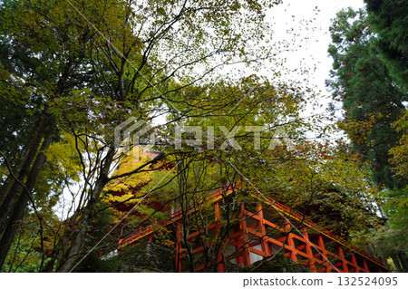 The vermilion-lacquered buildings and trees of Enryaku-ji Temple The vermilion-lacquered buildings and trees of Enryaku-ji Temple 132524095
