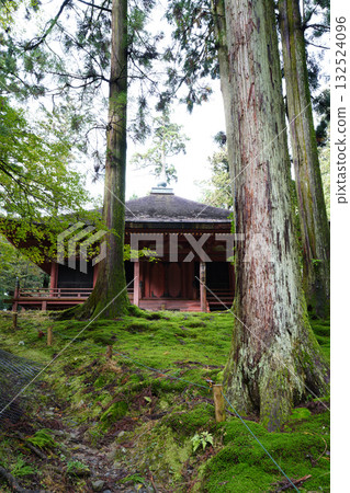 The vermilion-lacquered buildings and trees of Enryaku-ji Temple The vermilion-lacquered buildings and trees of Enryaku-ji Temple 132524096