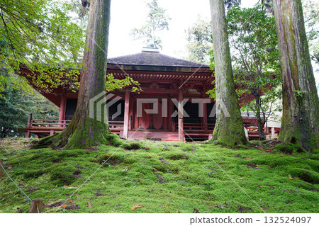 The vermilion-lacquered buildings and trees of Enryaku-ji Temple The vermilion-lacquered buildings and trees of Enryaku-ji Temple 132524097