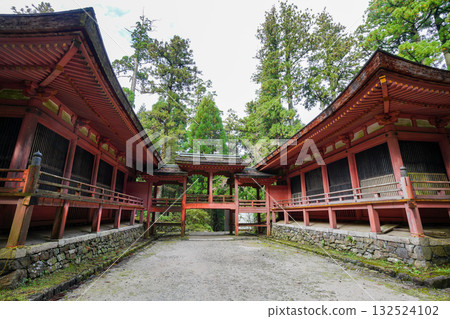 The vermilion-lacquered buildings and trees of Enryaku-ji Temple The vermilion-lacquered buildings and trees of Enryaku-ji Temple 132524102