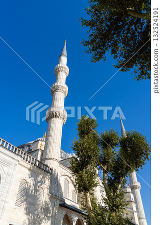 伊斯坦堡藍色清真寺：壯麗景色 132524191