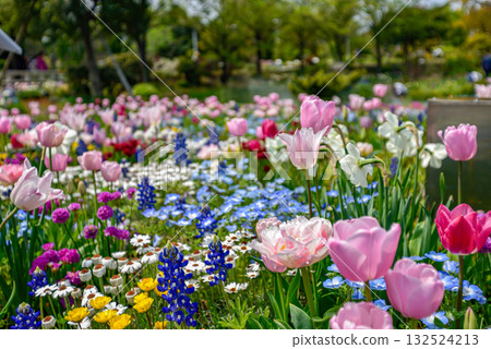 花壇與春天的花朵 132524213
