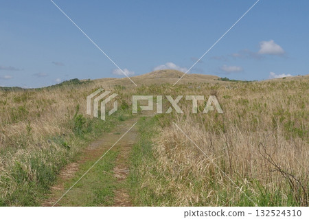 Akiyoshidai with dead grass in the spring of 2025 Akiyoshidai with dead grass in the spring of 2025 132524310